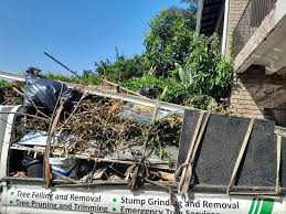 Best Yard Waste Removal  in Hawarden, IA